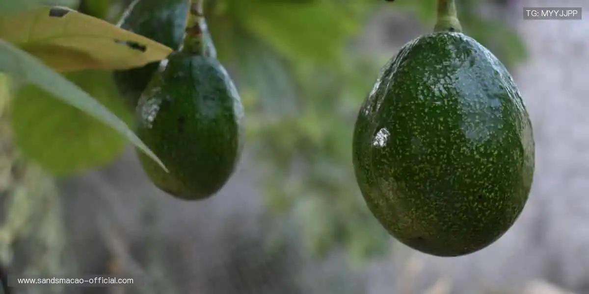 ⚡️速度与激情碰撞!【赛事名称】,点燃你的肾上腺素狂飙🏃♂️